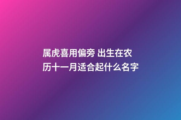 属虎喜用偏旁 出生在农历十一月适合起什么名字